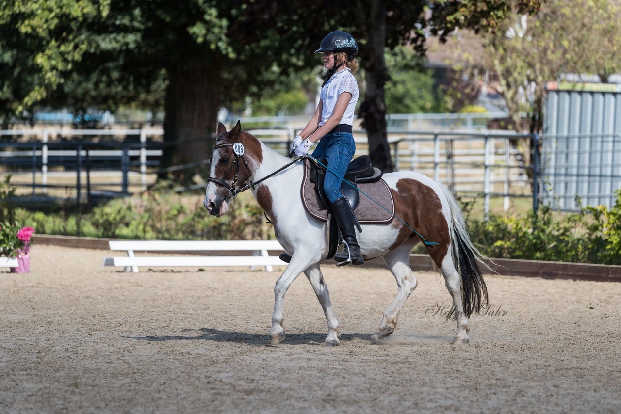 Bild 16 - Pony Akademie Turnier